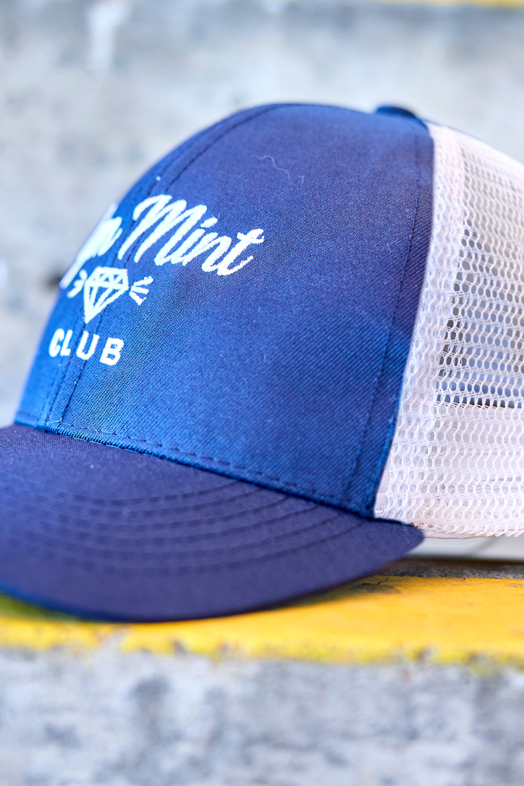 Blue & White Mesh Cap